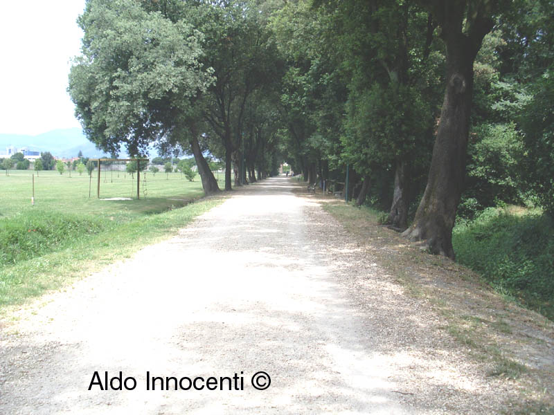 CASCINE DI TAVOLA: VIALE DI LECCI 2